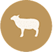 #1Lamb Single Animal Protein
