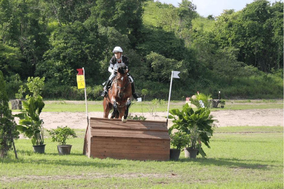 งาน “ MaxWin CIC 1* & Pre-Novice ”