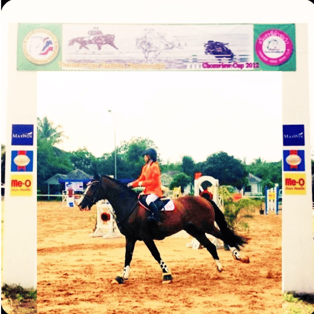 งาน “ FEI world jumping challenge & FEI children's international classic 2012 gold tour...