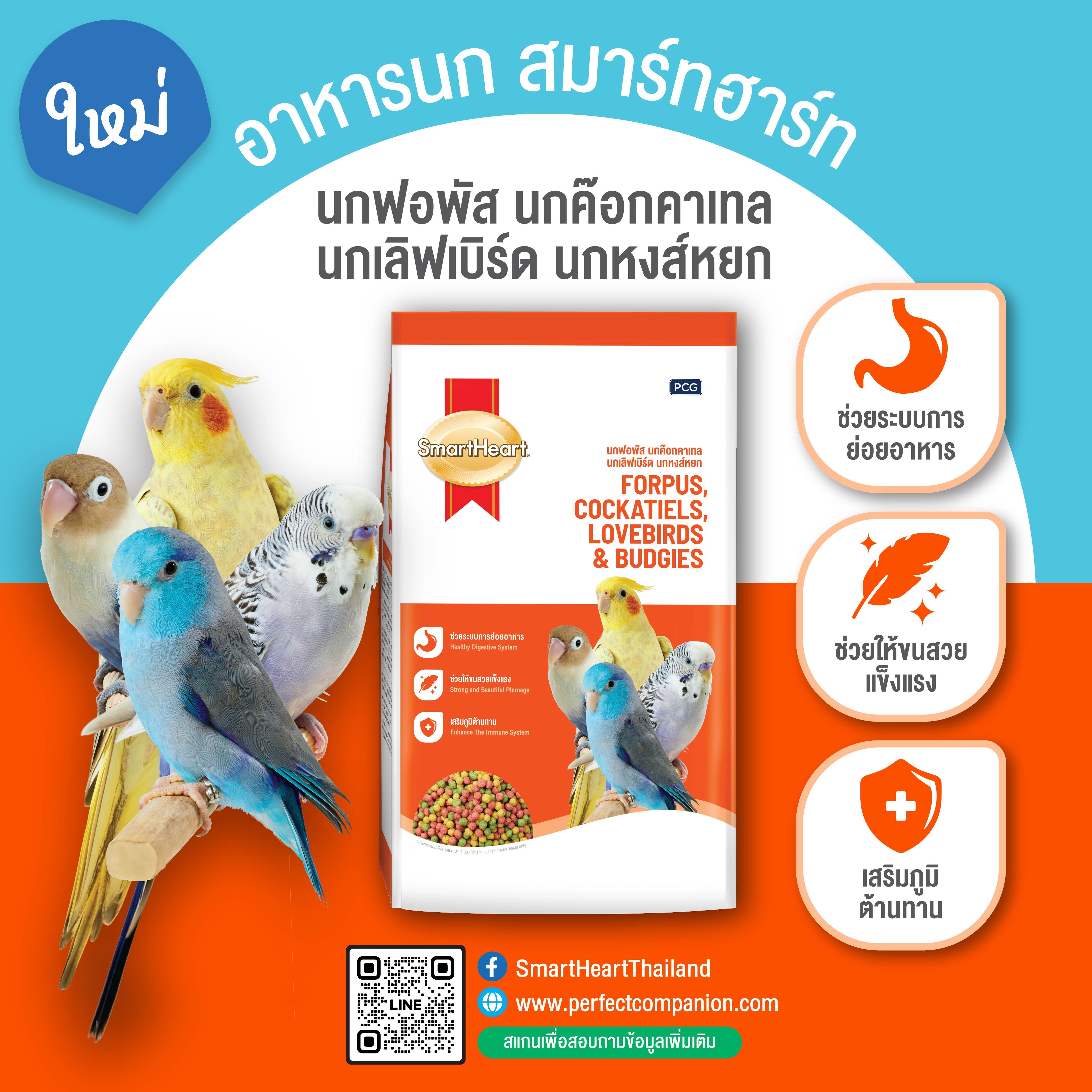 สมาร์ทฮาร์ท อาหารนกฟอพัส