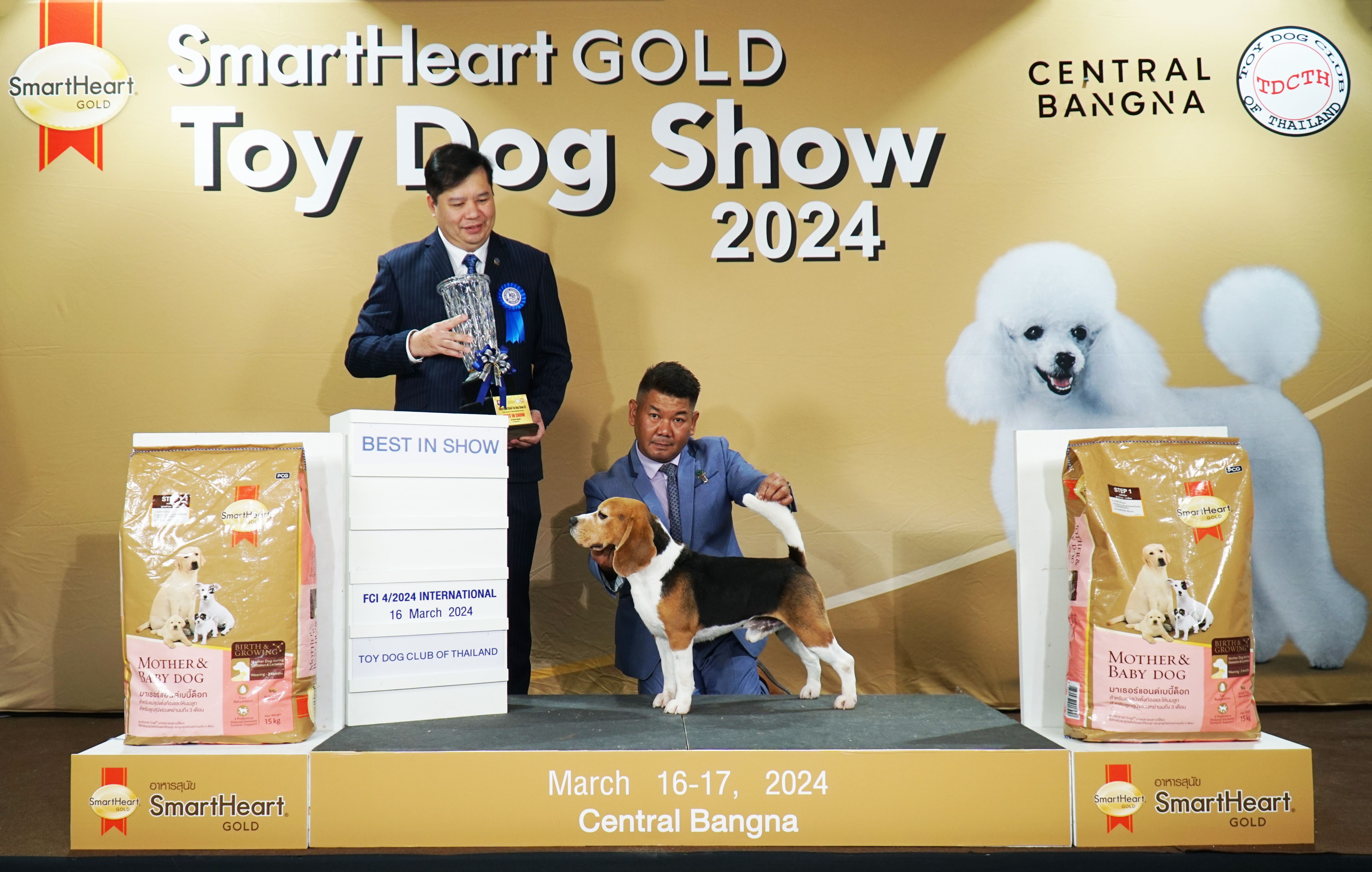 น้องบิวกิ้น สุนัขพันธุ์บีเกิ้ล ได้รับรางวัล Best in Show All breeds
