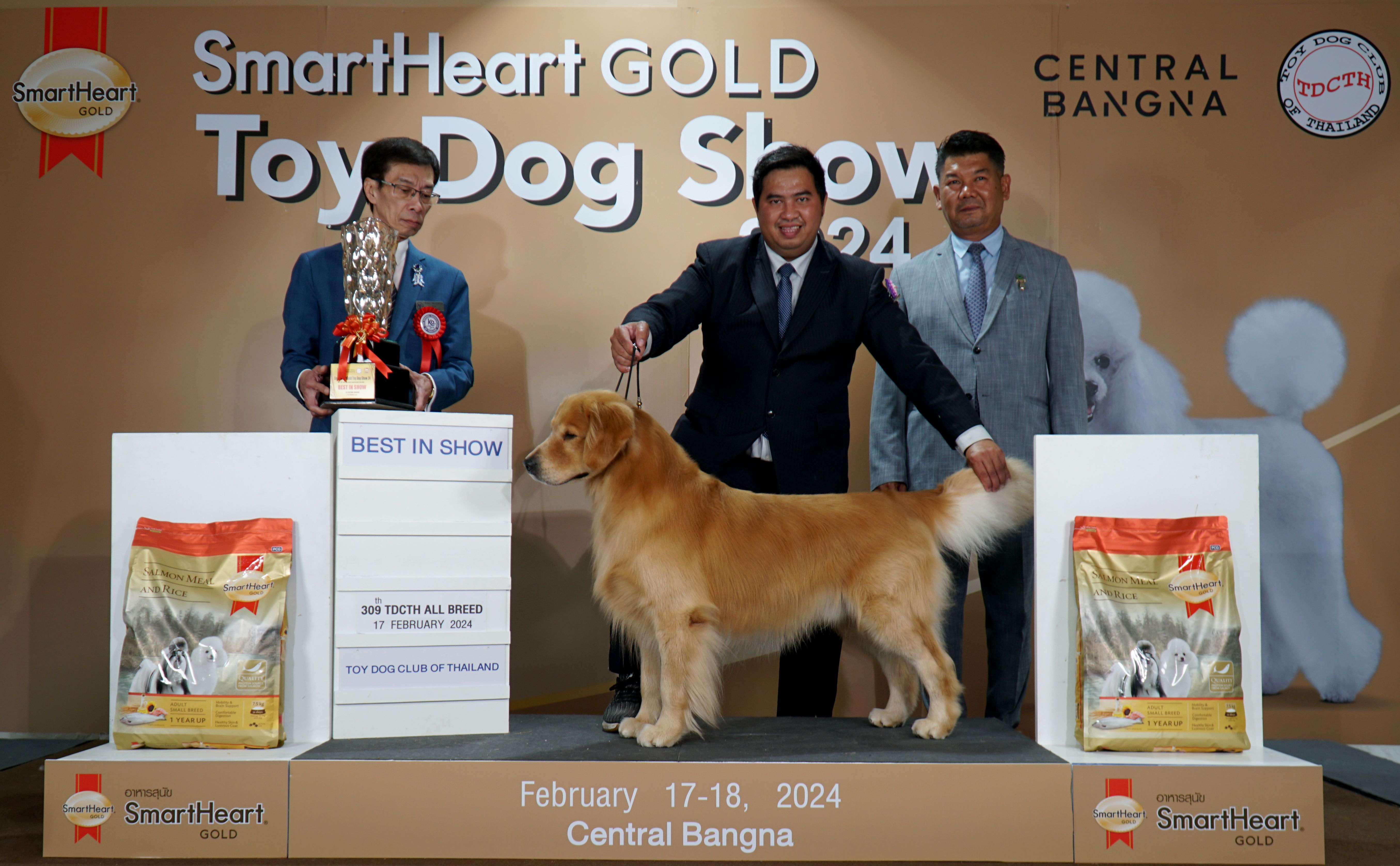 น้องฮิวโก้ สุนัขพันธุ์โกลเด้น ได้รับรางวัล Best in Show All breeds