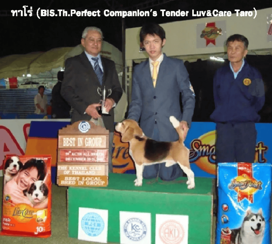 การประกวดสุนัขในงานมหกรรมสัตว์เลี้ยงแห่งประเทศไทย ครั้งที่ 8