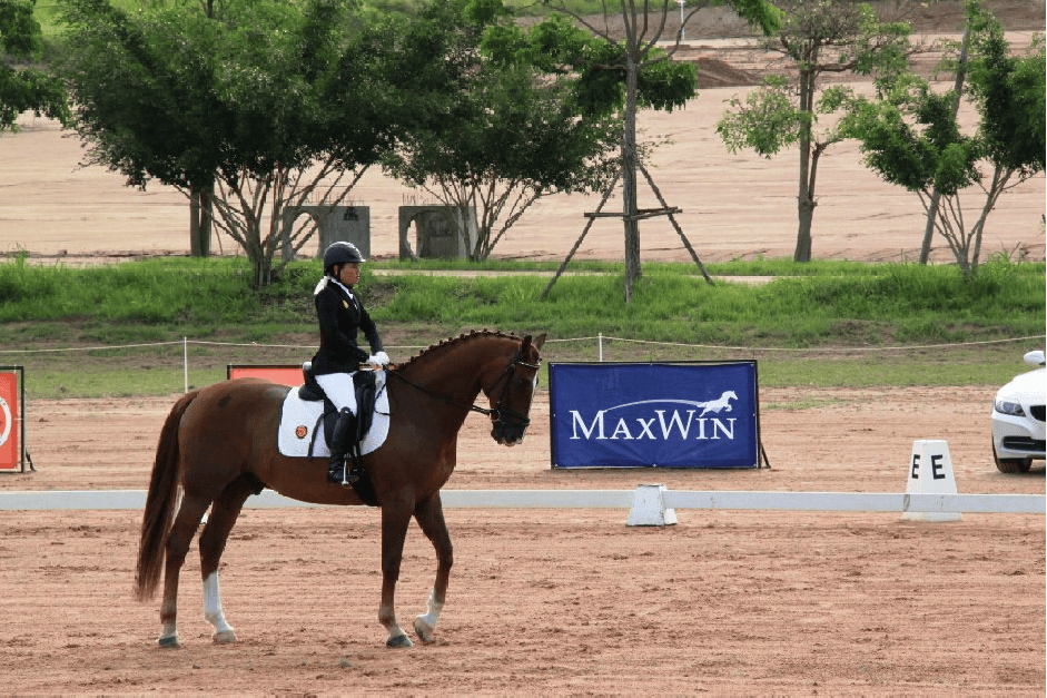 งาน “ MaxWin CIC 1* & Pre-Novice ”