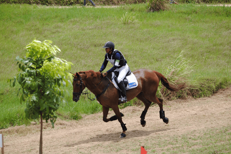 President 's Cup 2011 Pattaya CCI 1* & CCN