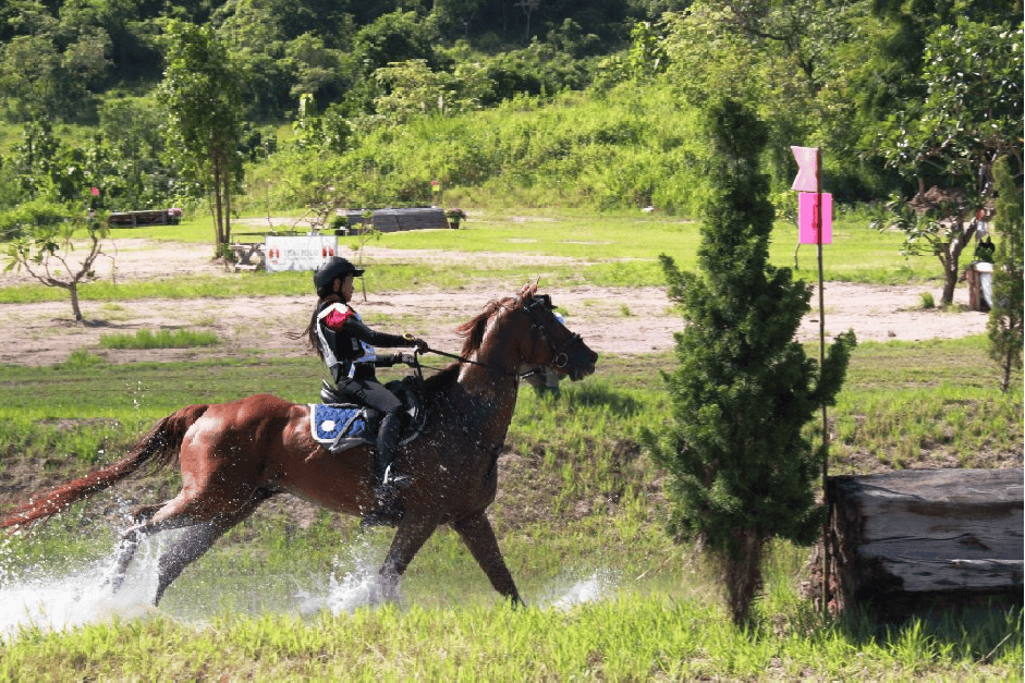 งาน “ MaxWin CIC 1* & Pre-Novice ”