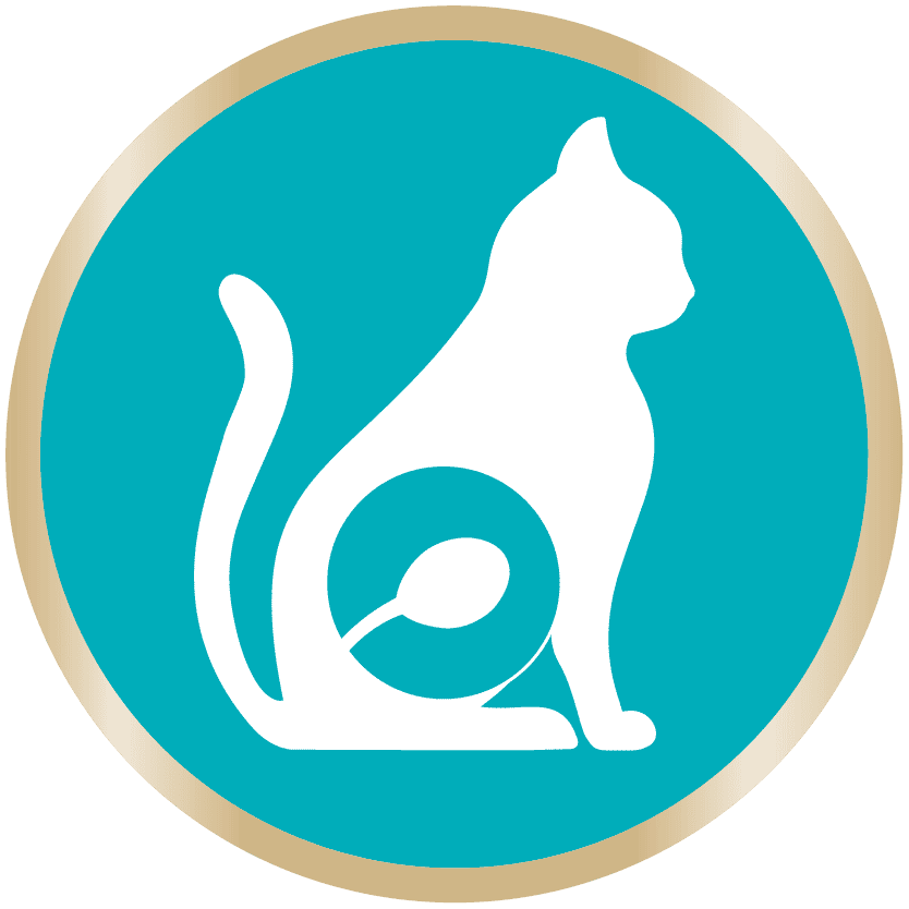 SUPPORT URINARY HEALTH