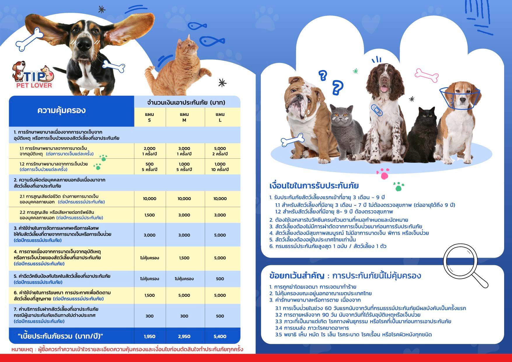 tip pet_brochoure AI.jpg
